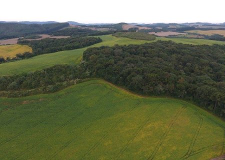 De importador de tecnologia a exportador de conhecimento: a nova fronteira da agricultura tropical brasileira