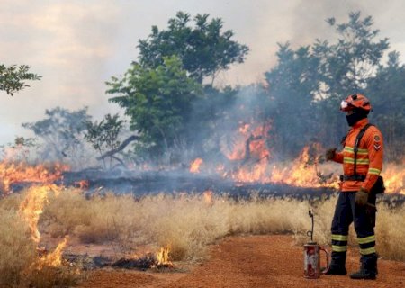 Bombeiros de MS se preparam para temporada de incêndios florestais