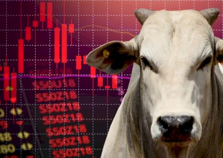 Mercado do boi gordo entra em alerta e arroba volta a perder força em diversas regiões do Brasil