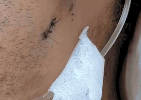 “Pedi para cuidar do meu filho”, diz sargento baleado ao pensar que morreria