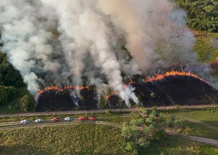 Imasul e Corpo de Bombeiros reforçam prevenção a incêndios com manejo integrado do fogo no Pantanal