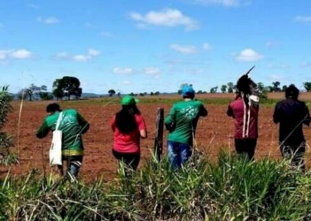 Decisão do TRF1 pode afetar registros de terras indígenas em todo o país