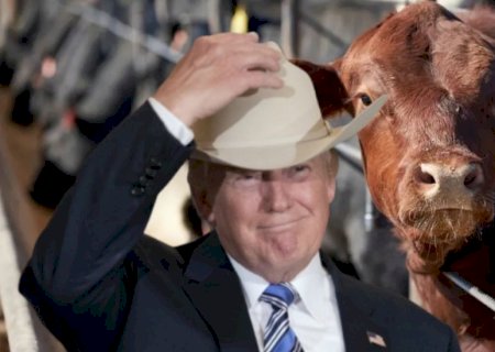 Pecuaristas dos EUA pressionam Trump por tarifa de 25% contra carne bovina do Brasil; entenda o que está em jogo
