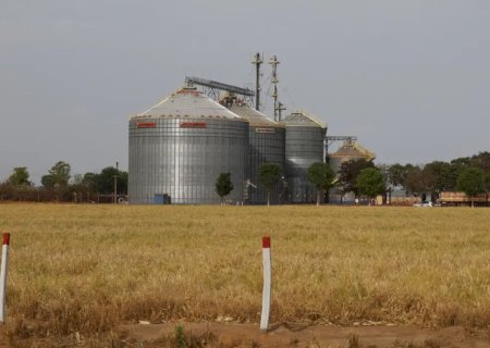 Safra cresce mais rápido que os silos e amplia gargalo na armazenagem de grãos