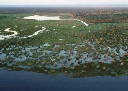 Pantanal pode aquecer mais de 2,5°C e perder chuvas em área estratégica até 2070