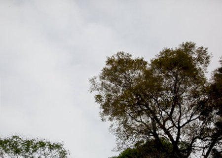 Após temporal: MS promete calor intenso, ar seco e risco de incêndios, aponta previsão