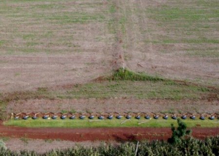 Fósforo acumulado no solo pode reduzir gastos com fertilizantes na safra 2026/27