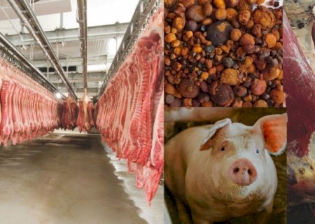China, Paraguai e Palau abrem mercados para produtos agropecuários brasileiros