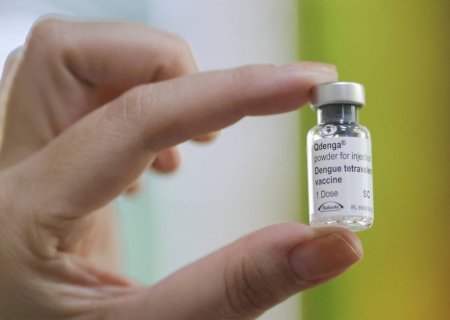 Estudo aponta maior incidência de reação alérgica à vacina Qdenga do que a observada nos ensaios
