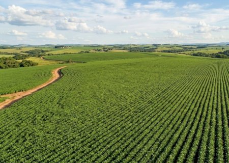 Brasil cria fórum de projeções para safra 2026/27 com foco em clima, mercados e competitividade do agro