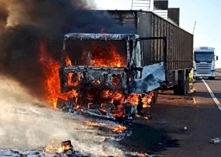 Carreta boiadeira de empresa de Nova Andradina pega fogo na MS-395 e bois são soltos na pista