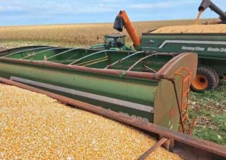 MS mantém 5ª posição na produção de grãos em safra recorde do país