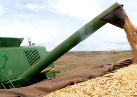 Agronegócio responde por 45,7% das exportações brasileiras e cresce 14% em junho