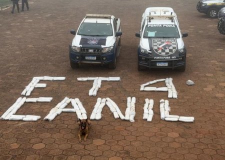 Polícia Militar apreende mais de 67 quilos de skunk escondidos em carreta em MS