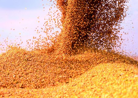 Cadeia da soja pode responder por 21,2% do PIB do agronegócio em 2026
