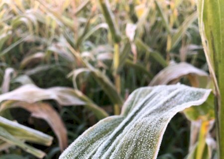Embrapa lança projeto para antecipar riscos climáticos e reduzir perdas na agricultura