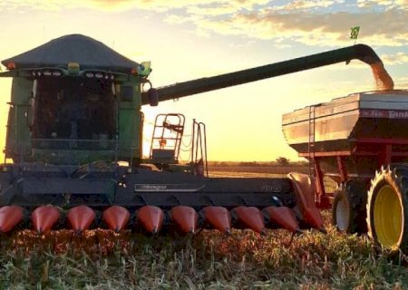 Crédito rural registra redução nas contratações ao final do Plano Safra 2025/26