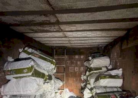 Bunker com 1,22 tonelada de maconha é encontrado em CG