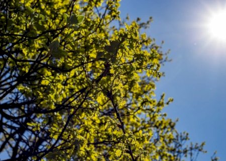Sábado será de tempo firme e calor durante a tarde em toda a região do Vale do Ivinhema