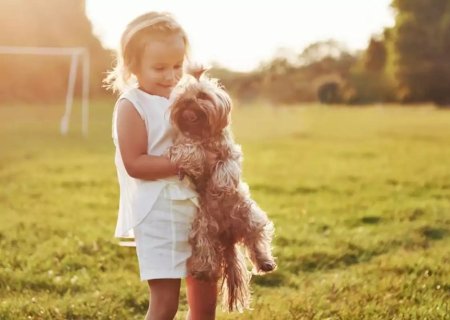 Férias escolares também exigem atenção ao bem-estar emocional dos animais de estimação