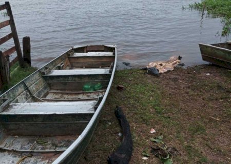 Polícia desarticula grupo investigado por crimes ambientais e abigeato 