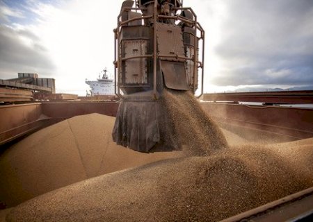 USDA eleva exportação de soja do Brasil para 118 milhões de toneladas