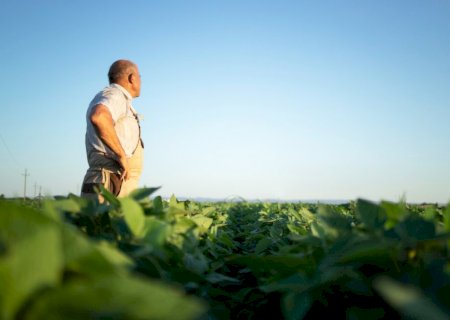 Renegociação das dívidas do agro entra na reta final