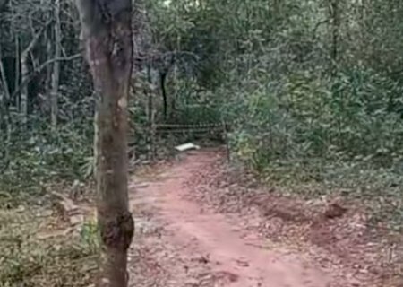 Jovem de 23 anos é encontrado morto em bosque municipal de Itaquiraí