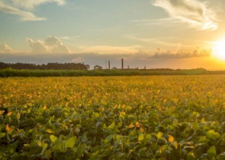Clima e tensões externas movimentam os grãos