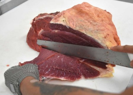 MS pode ampliar exportações de carne bovina aos Estados Unidos