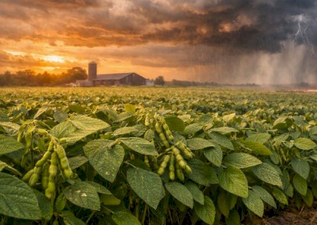 Nova safra de soja do Brasil pode cair um pouco com El Niño