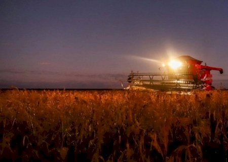Falta de mão de obra preocupa agricultores mais do que custos e preços