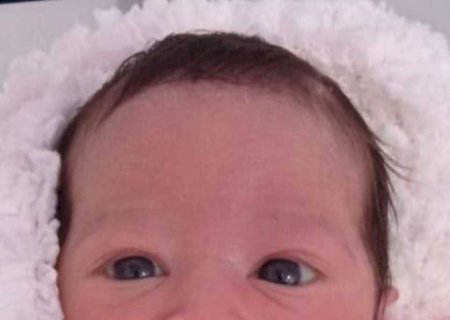 Resgatada no Paraguai, Ayla retorna à Campo Grande e deverá ficar em abrigo