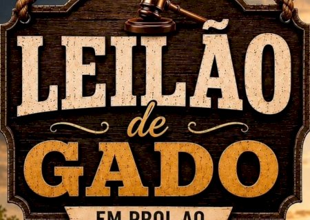 Leilão de Gado em prol do Lar Santo Antônio será realizado no dia 13 de setembro