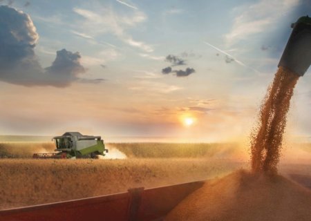Clima favorece colheita e qualidade de culturas na safra 2025/26