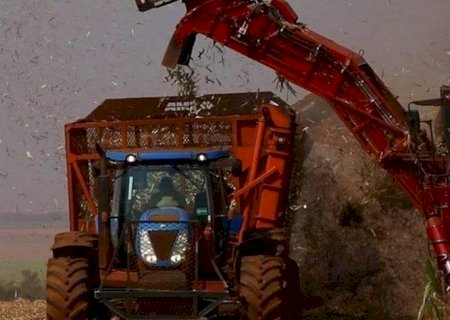 Açúcar sobe quase 3% em Nova York com atraso na safra do Brasil