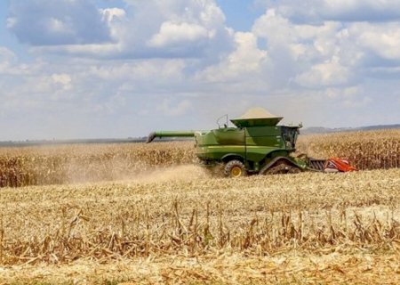 Clima favorece o milho, e aumenta o risco para a pecuária do Centro-Oeste