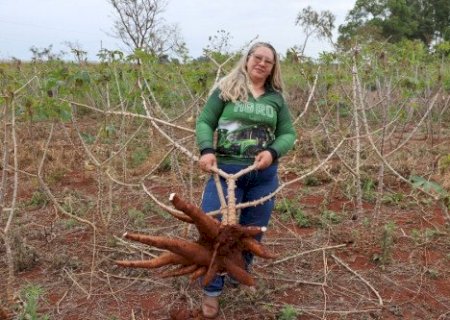 Da dificuldade à fartura: produtora colhe maracujá e mandioca em MS
