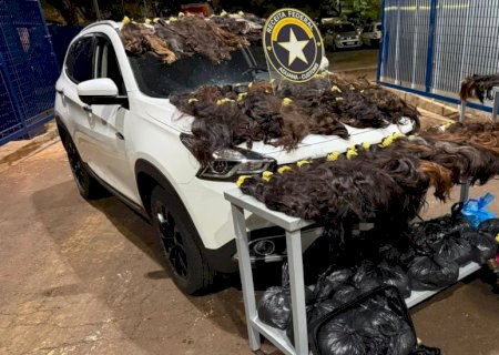 Receita Federal apreende quase 150 kg de cabelo humano avaliado em R$ 1 milhão
