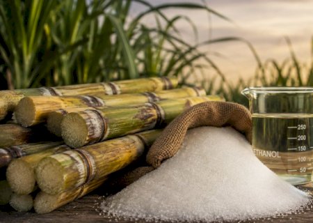 Conab projeta queda na produção de açúcar e alta no etanol