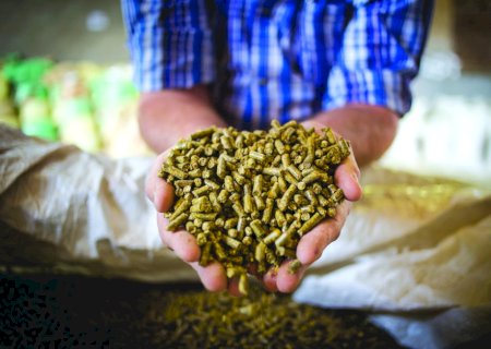 Indústria de rações produz 22,6 milhões de toneladas no primeiro trimestre
