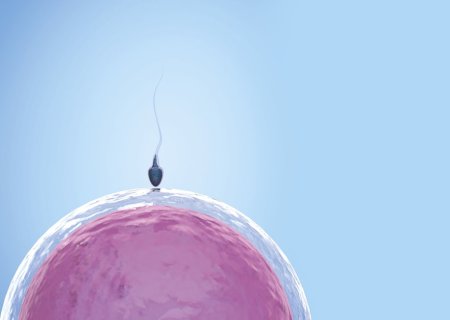 Como o machismo pode atrasar tratamento da infertilidade