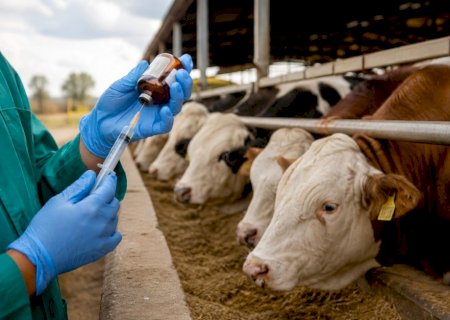 Novas exigências da União Europeia geram dúvidas sobre uso de antimicrobianos no Brasil