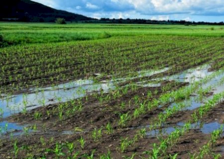 Crédito de R$ 25,8 bilhões para renegociar dívidas rurais começa a ser liberado