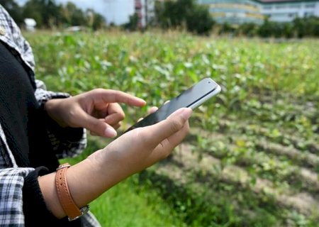 Inteligência de dados muda a estratégia de venda de insumos agrícolas