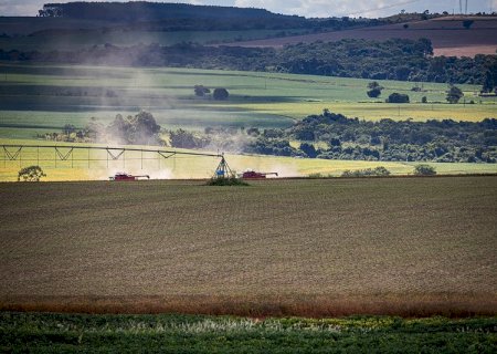 Gasto com renegociação poderia proteger mais de R$ 112 bilhões com seguro rural