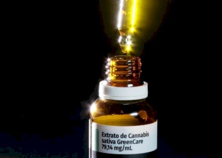 Autorizações para importação de cannabis (Maconha) medicinal aumentam 29% em 2026