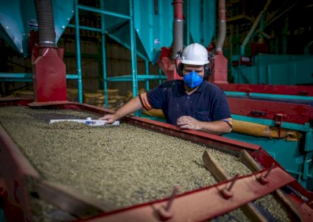 Agro vai além do campo e movimenta 22,5 mil empregos em Campo Grande