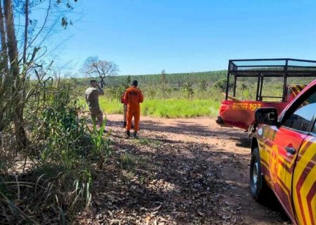 Corpo de homem de 47 anos é encontrado em área de eucaliptos
