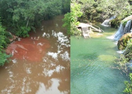 Após alerta no Rio Mimoso, plantas aquáticas avançam e chegam a Bataguassu